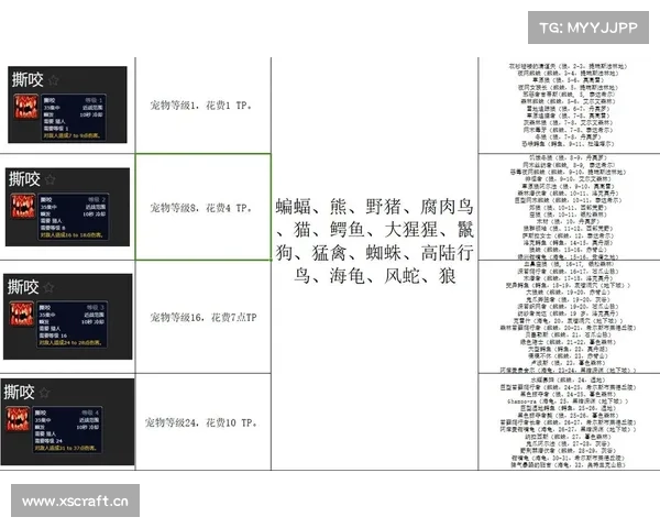 魔兽世界猎人宝宝技能点使用攻略